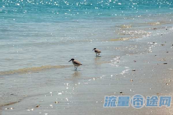 如何选择一个卡的流量（如何选择一个卡的流量套餐）2